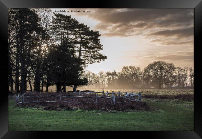 February sunrise at Bushy Park in Surrey Framed Print by Kevin White