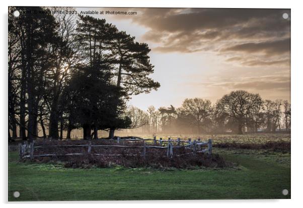 February sunrise at Bushy Park in Surrey Acrylic by Kevin White