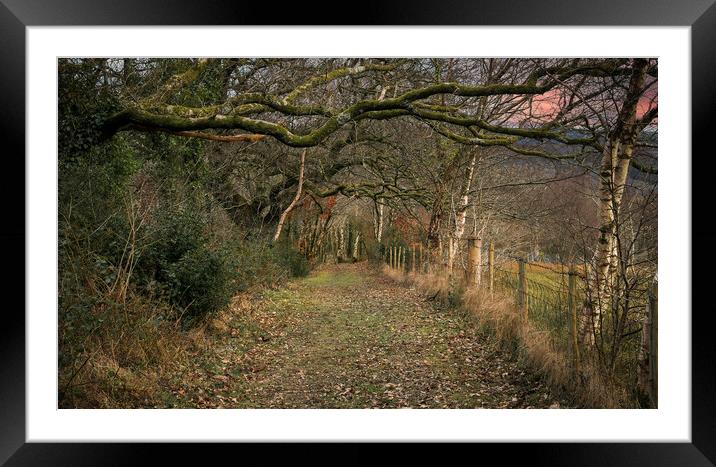 A country path Framed Mounted Print by Leighton Collins