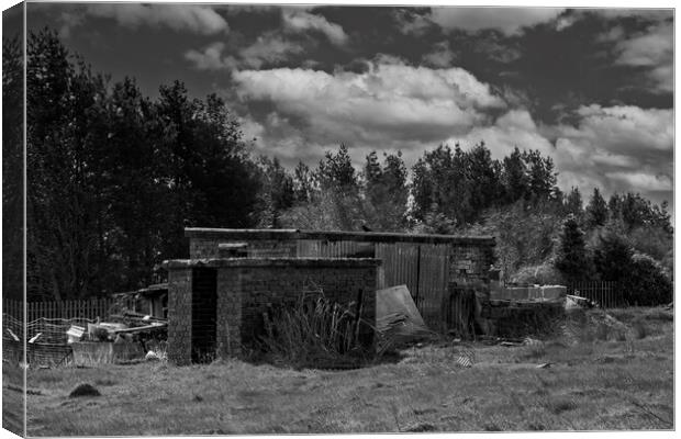 Ramshackle  Canvas Print by Glen Allen