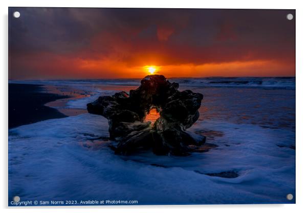 Driftwood Sunset Acrylic by Sam Norris