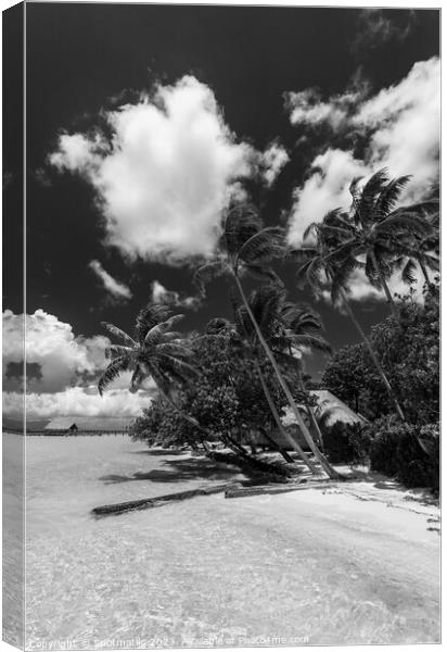 Bora Bora Palm trees tropical luxury vacation resort Canvas Print by Spotmatik 