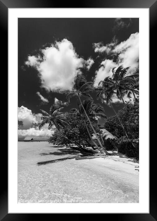 Bora Bora Palm trees tropical luxury vacation resort Framed Mounted Print by Spotmatik 