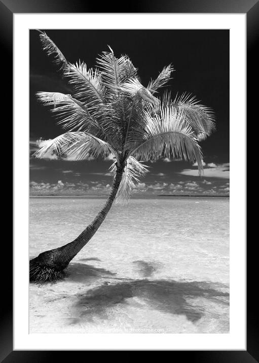 Bora Bora Palm trees tropical luxury vacation resort Framed Mounted Print by Spotmatik 