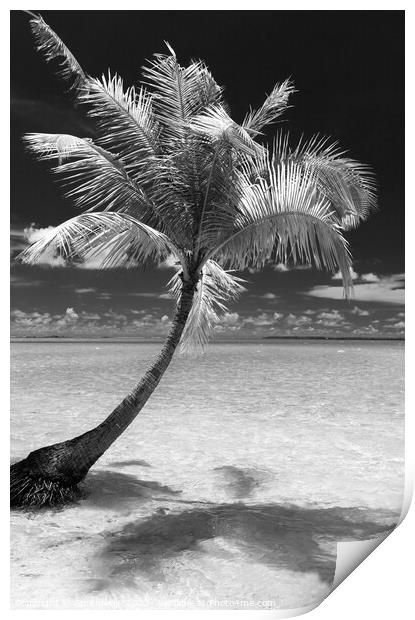 Bora Bora Palm trees tropical luxury vacation resort Print by Spotmatik 