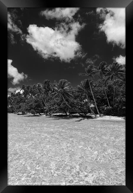 Bora Bora Palm trees tropical luxury vacation resort Framed Print by Spotmatik 