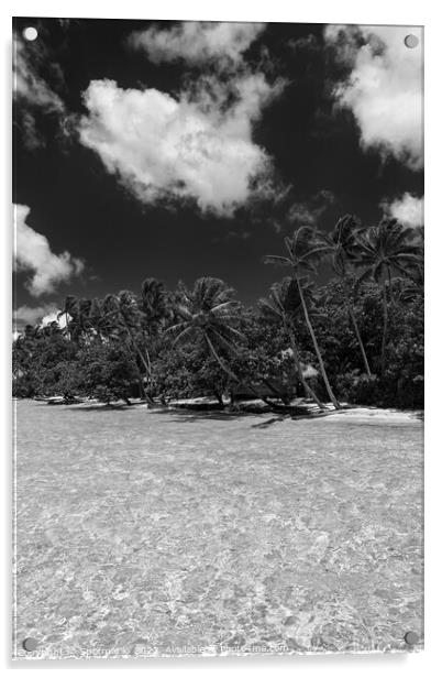 Bora Bora Palm trees tropical luxury vacation resort Acrylic by Spotmatik 