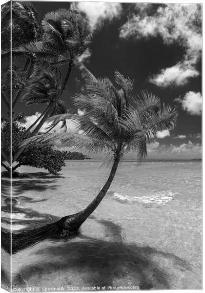 Bora Bora beach palms in sunlight Luxury beach  Canvas Print by Spotmatik 