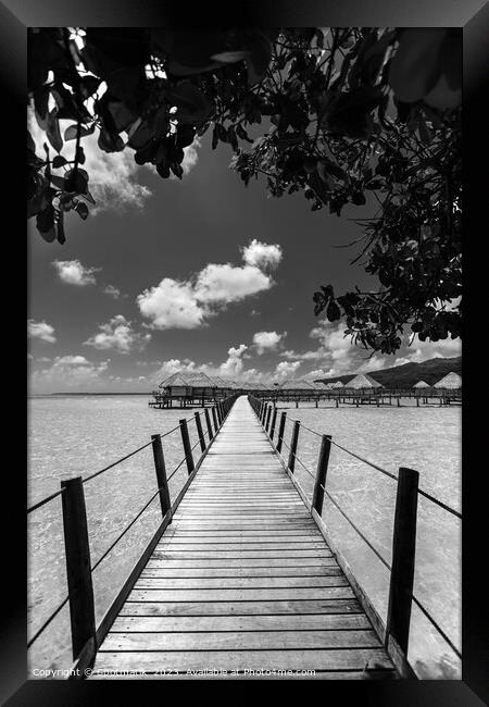 Bora Bora walkway across lagoon luxury Overwater bungalows  Framed Print by Spotmatik 