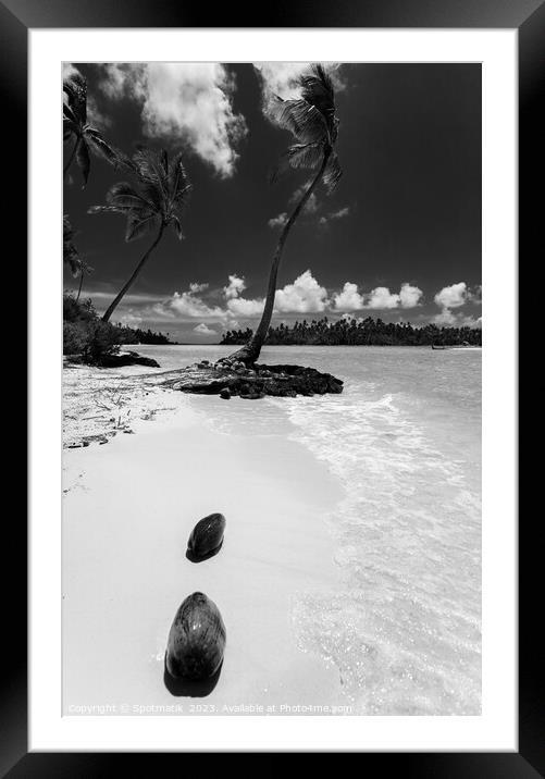 Coconuts washed up palm tree crystal sandy beach  Framed Mounted Print by Spotmatik 