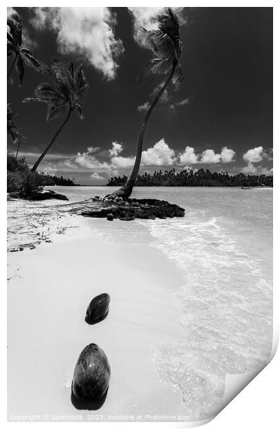 Coconuts washed up palm tree crystal sandy beach  Print by Spotmatik 