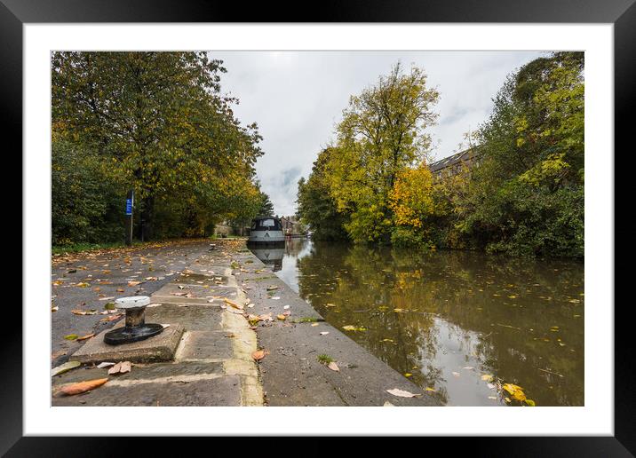 Fallen leaves on the towpath Framed Mounted Print by Jason Wells