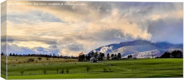 Cloudy Mountain View  Canvas Print by Pelin Bay