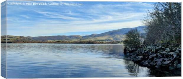 Stunning bassethwaite lake   Canvas Print by Pelin Bay