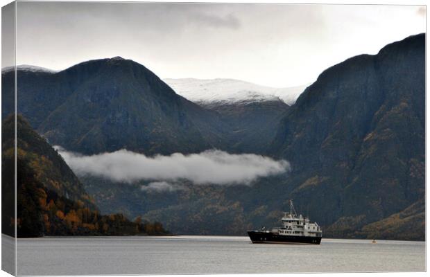 Majestic Aurlandsfjord in Norway Canvas Print by Andy Evans Photos