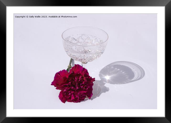 Champagne and Carnation Framed Mounted Print by Sally Wallis