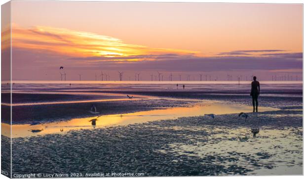 Crosby Beach at sunset  Canvas Print by Lucy Norris