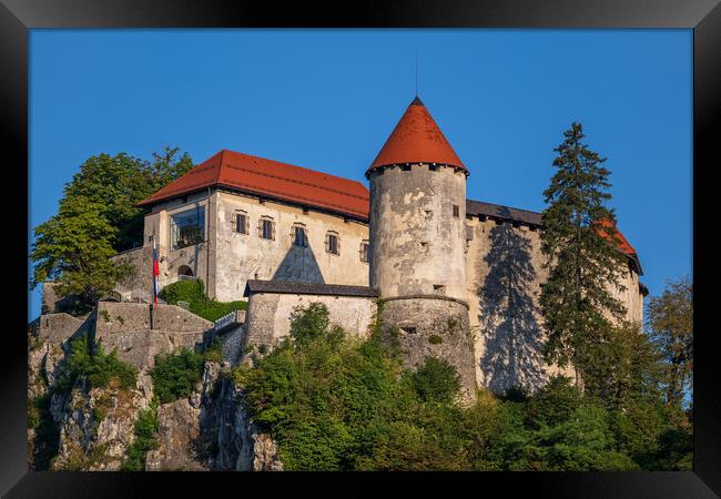 The Bled Castle In Slovenia Framed Print by Artur Bogacki