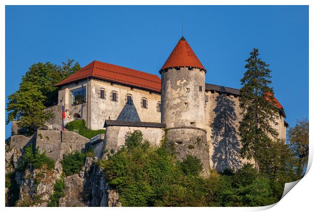 The Bled Castle In Slovenia Print by Artur Bogacki