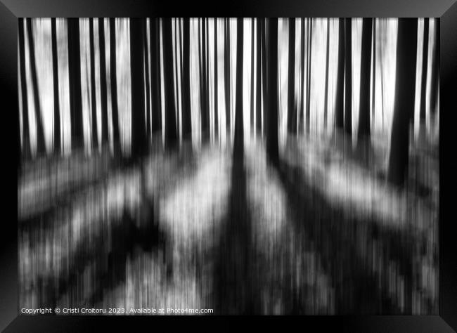  Dark moody forest. Framed Print by Cristi Croitoru