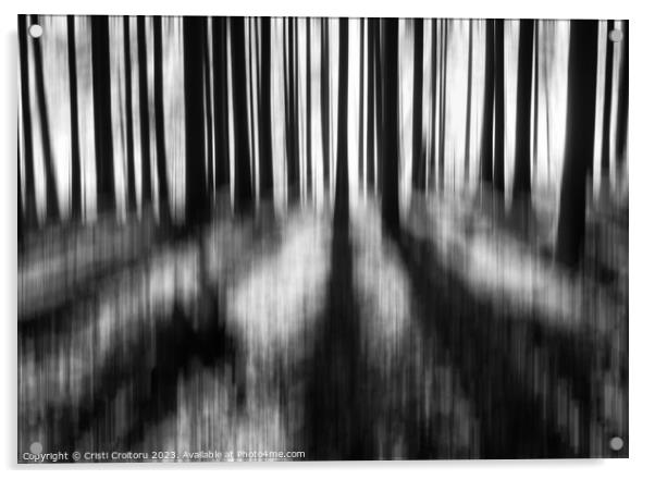  Dark moody forest. Acrylic by Cristi Croitoru