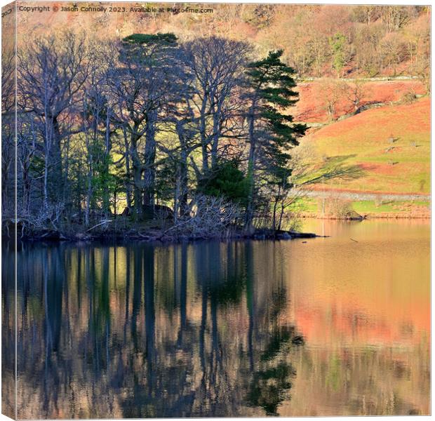 Trees and reflections, Rydalwater Canvas Print by Jason Connolly