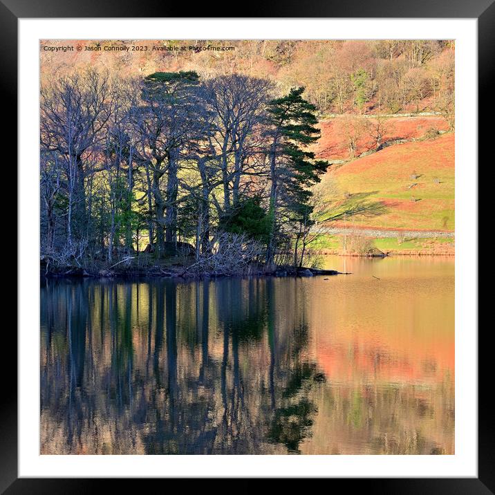 Trees and reflections, Rydalwater Framed Mounted Print by Jason Connolly