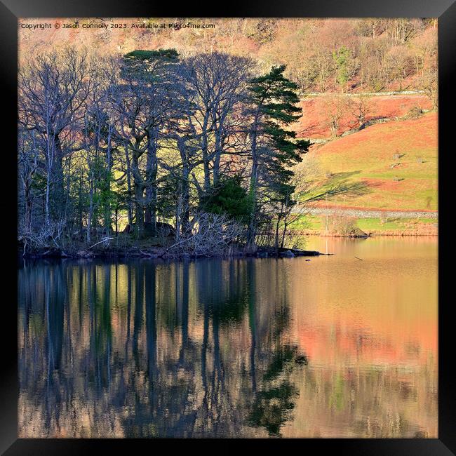 Trees and reflections, Rydalwater Framed Print by Jason Connolly