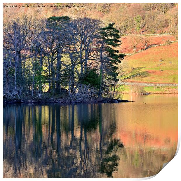 Trees and reflections, Rydalwater Print by Jason Connolly