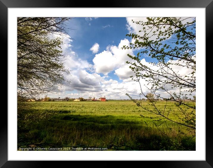 clouds in the sky on green field with plant tree i Framed Mounted Print by Ottorino Cavazzana