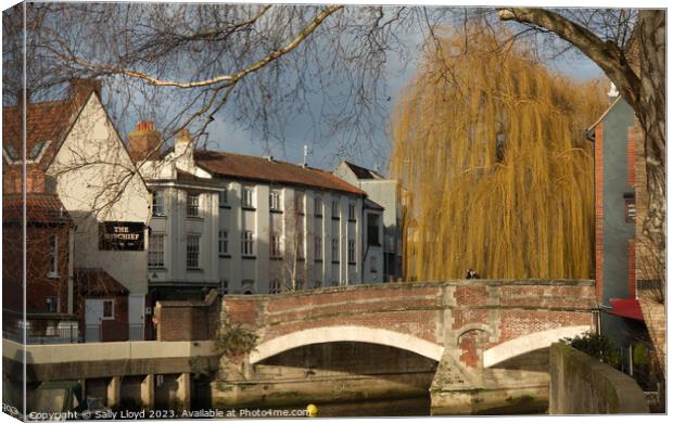 Fye Bridge Norwich Canvas Print by Sally Lloyd