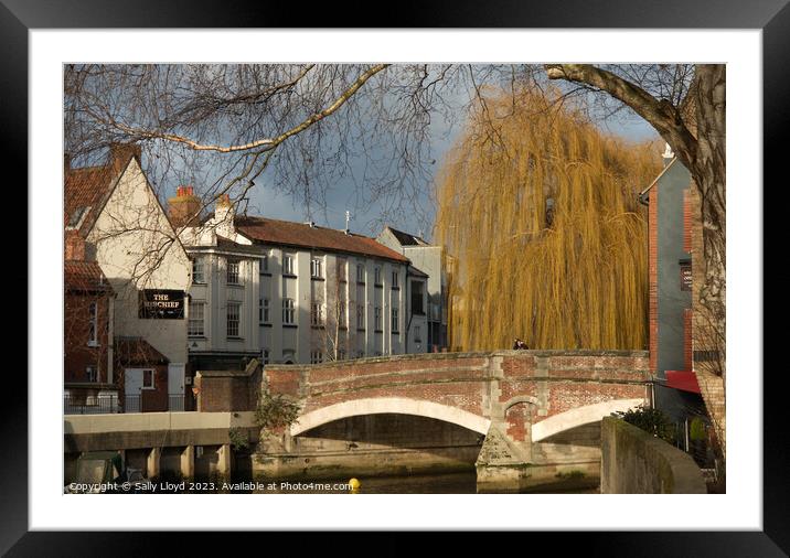 Fye Bridge Norwich Framed Mounted Print by Sally Lloyd