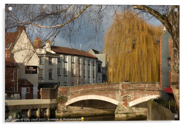 Fye Bridge Norwich Acrylic by Sally Lloyd