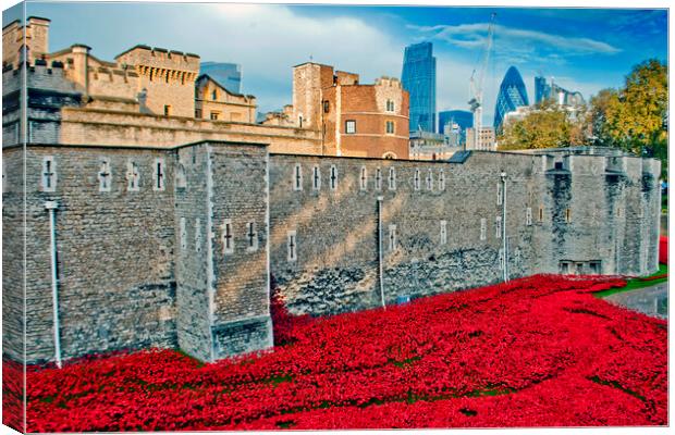 Tower Of London Poppies Red Poppy Canvas Print by Andy Evans Photos