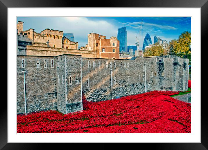 Tower Of London Poppies Red Poppy Framed Mounted Print by Andy Evans Photos