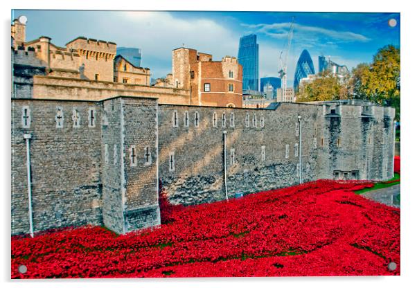Tower Of London Poppies Red Poppy Acrylic by Andy Evans Photos