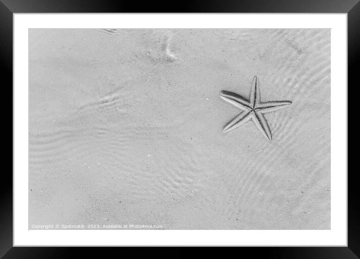 The starfish on white sandy tropical beach Caribbean Framed Mounted Print by Spotmatik 