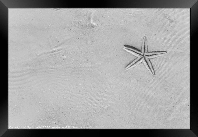 The starfish on white sandy tropical beach Caribbean Framed Print by Spotmatik 