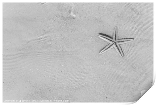 The starfish on white sandy tropical beach Caribbean Print by Spotmatik 