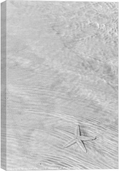 The starfish on white sandy tropical beach Bahamas Canvas Print by Spotmatik 