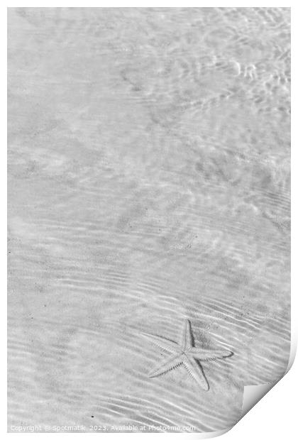 The starfish on white sandy tropical beach Bahamas Print by Spotmatik 