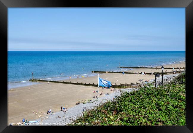 Sheringham Blue Flag Beach Framed Print by Diana Mower