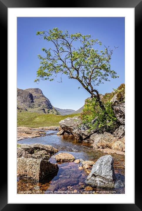 Glencoe Tree. Framed Mounted Print by John Godfrey Photography