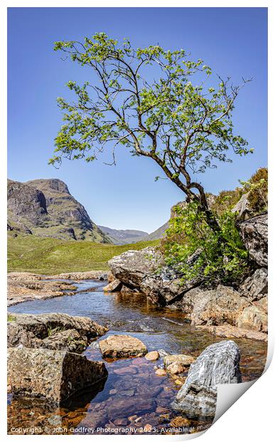 Glencoe Tree. Print by John Godfrey Photography