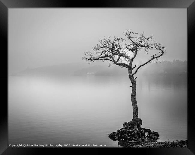 Milarrochy Lone Tree Framed Print by John Godfrey Photography
