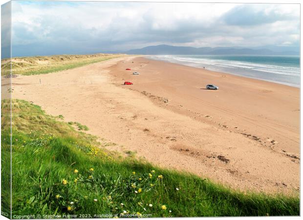 Majestic Inch Beach Canvas Print by Stephen Hamer