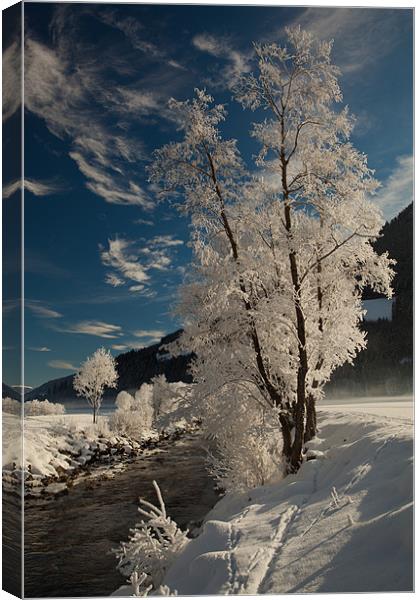 Alpine winter morning Canvas Print by Thomas Schaeffer