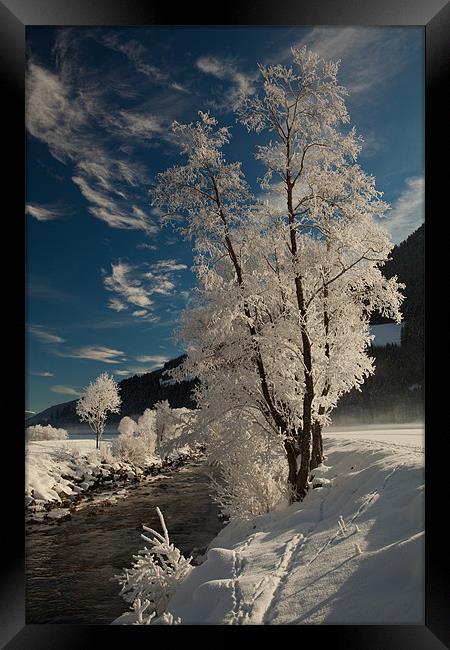 Alpine winter morning Framed Print by Thomas Schaeffer