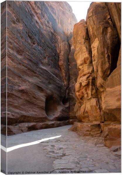 Al Siq Gorge in Petra with Nabataean Paved Road Canvas Print by Dietmar Rauscher