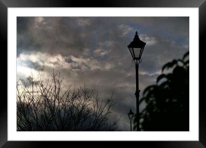 Sky cloud streetlamps and trees Framed Mounted Print by Roy Hinchliffe